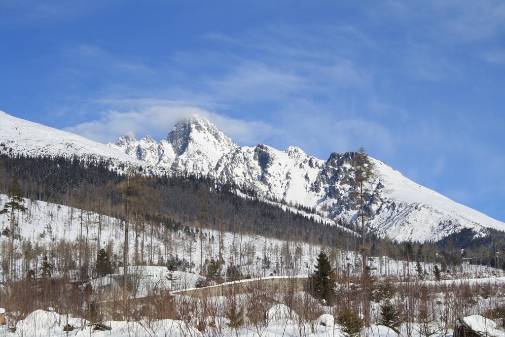 Podlesanka Vysoke Tatry Vysoké Tatry Exterior foto